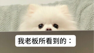 What the boss sees vs. what I'm actually doing—so realistic...