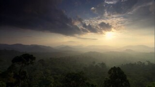 [Tập 9 - Thuyết Minh] Cuộc sống hoang dã - Life (2009) S01E09: Plants