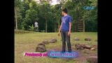 Reel Love Presents Tween Hearts-Full Episode 4
