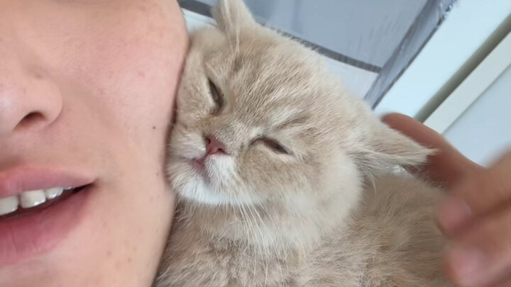 بالطبع إنها مُفاخرة! أليس الأمر واضحًا جدًا؟