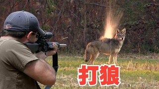 Hunting Wolves