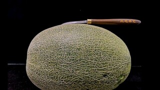 【哈蜜瓜雕龙】厉害了我的三毛！