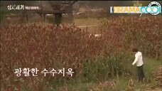 Three Meals A Day Episode 3 - Engsub