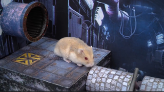 ภารกิจของหนูแฮมสเตอร์ EP 132