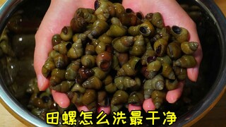 غسل الحلزون بالماء العادي فقط يعني أكل الطين بالفعل! سأعلمك الطريقة الصحيحة للغسل، حتى تختفي كل جزيئ