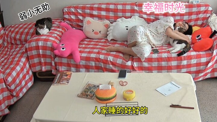 เรื่องว่าใครจะได้นอนในอ้อมกอดของคุณแม่จัง สองพี่น้องก็ทะเลาะกันอีกแล้ว! แผนที่ใหม่ปลดล็อกแล้ว～