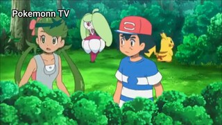 Pokemon Sun & Moon (Ep 46.3) Đi tìm Metamon #PokemonSun&Moon