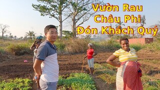 2Q Vlogs||Vợ anh Đốt than bất ngờ tới thăm vườn rau của xóm trọ|| Cuộc sống châu phi