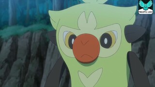 Pineapple Juice - Pokemon Sword And Shield - Một cây gậy, Bachinkey! 4 #anime #schooltime