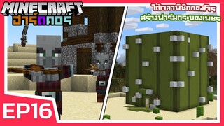 ได้เวลาพิชิตกองโจร และ ฟาร์มกระบองเพชร Tower | Minecraft ฮาร์ดคอร์ 1.17 (EP16)