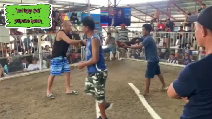 3 cock derby @ sta. lucia ilocos, sur (WWW)