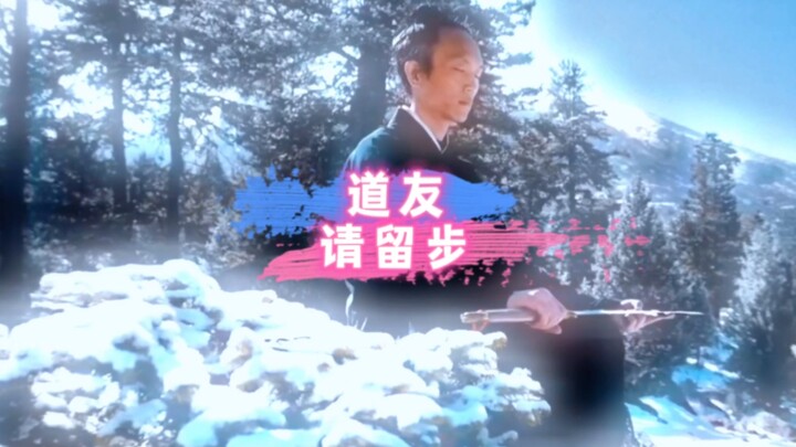 道友，请留步
