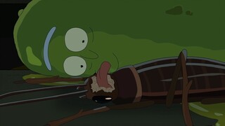 Pickled cucumbers control a cockroach's gloomy crawling