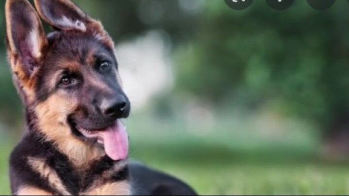 b-day gift for seek cha