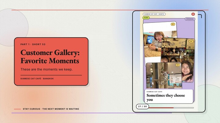 Siamese Cat Café #27 — Customer Gallery: Favorite Moments + First Visit, Lasting Memory