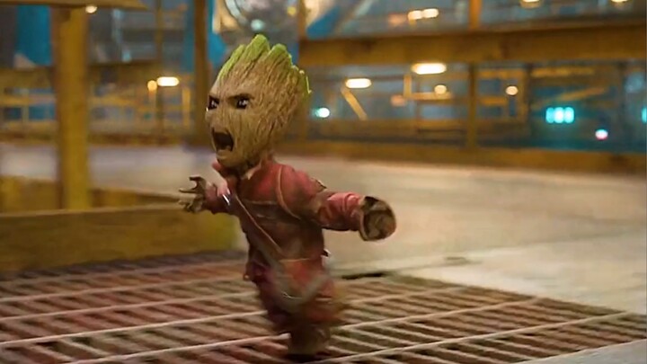Brother Groot is a ruthless man who doesn’t talk much!