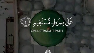 Surah Yaseen | Qari Tareq Mohammed