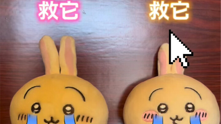 I found two baby rabbits. What would you do?