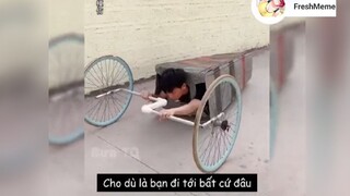 Những phát minh lạ kỳ... |#meme #funny