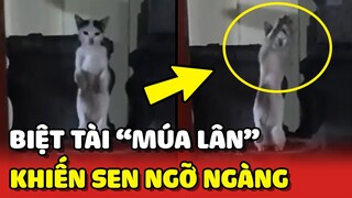 Biệt tài "MÚA LÂN" của Hoàng Thượng khiến mọi người NGỠ NGÀNG 😂 | Yêu Lu