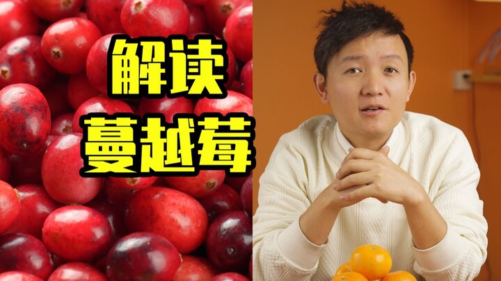 [Petualang Buah Hunter x Hunter] Membedah Cranberry