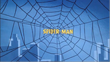 Spider-Man Into The Spider-Verse (2018)