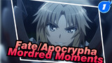 Fate/Apocrypha Cut | Mordred Moments Cut_B1