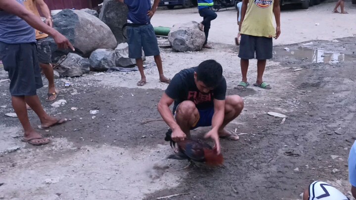 tupada lang mga boss Evo Grey naten naka bwenas