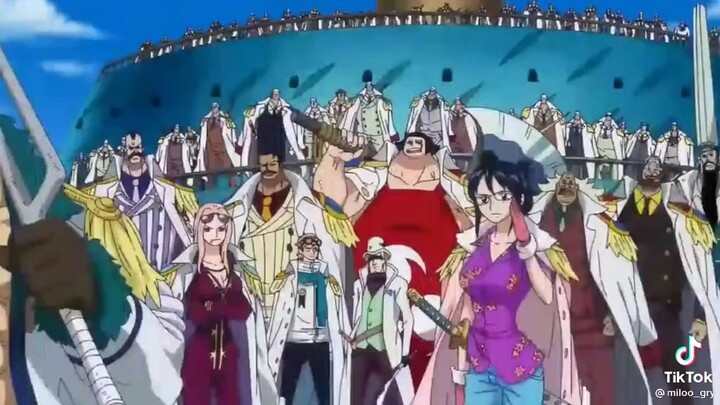 team luffy vs marins