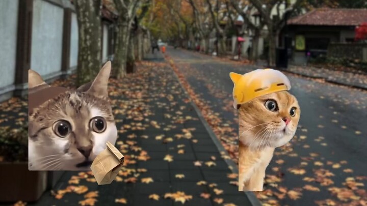 [Meme kucing] "Terima kasih telah meninggalkan ulasan buruk setelah Anda selesai"