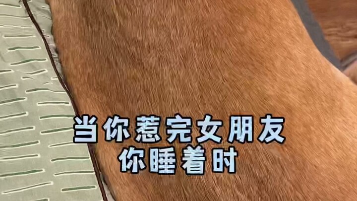 Có giống cô bạn gái hay than vãn của bạn không~