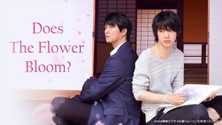 รอวันดอกไม้ผลิบาน