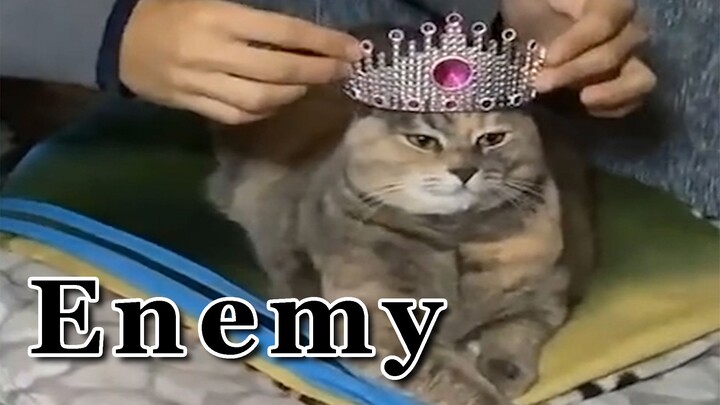 “Kẻ Thù Của Toàn Dân”