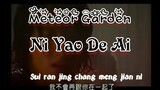 Meteor Garden OST - Ni Yao De Ai