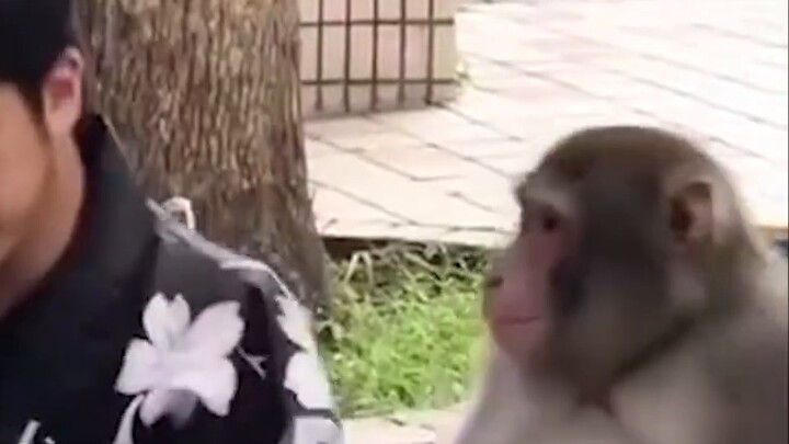 [Top 5 Pentakills in King] This is the upper limit of Luna in the Chinese server!!!