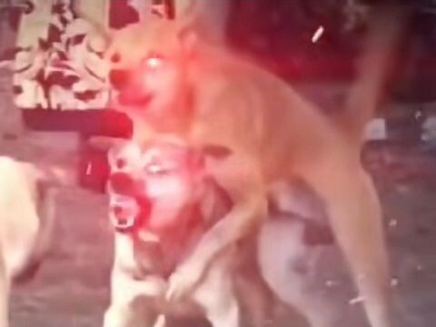 每日一遍，抑郁不见