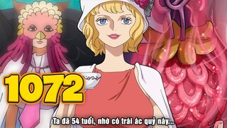 Tuổi thật và danh tính của Stussy được tiết lộ! Kẻ phản bội CP0? - Xem xét One Piece 1072 Spoiler