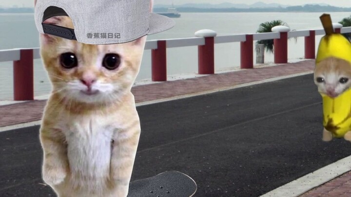 The doll does cool tricks on a skateboard and bumps into Banana Cat.