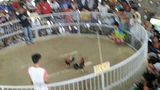 Ej game farm