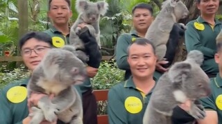 มีเยอะขนาดนี้ ไม่สามารถแบ่งให้ฉันหนึ่งตัวได้เลยหรือไง