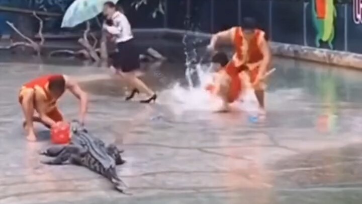 Đại sư: Trong ba ngày…