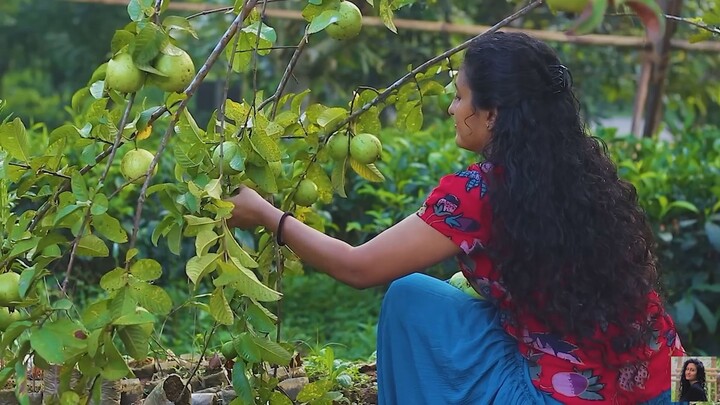 The day of Guava with yummy recipies - from my home garden - The nature girl