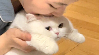 مبادرة صغيرة من الهرة مرة واحدة تُخلِّف سلبيةً تستمر مدى الحياة...