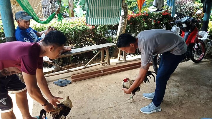 mga bagong wariors khit basa sa ulan,  spar