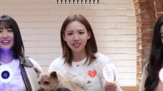 林娜琏气得半夜爬起来骂应援法|I GOT YOU应援法Focus