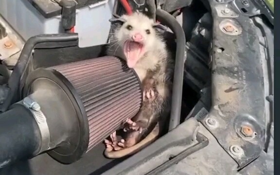 วิตัสเห็นแล้วอยากฟ้องคุณขึ้นศาลเลย 😂