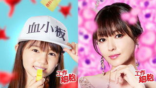 【漫改电影/芦田爱菜/内地引进确认】工作细胞 真人版 中国内地 引进上映PV【官方中字】