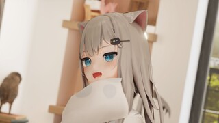The cat at home has changed!