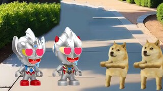 Menangkap kupu-kupu bersama