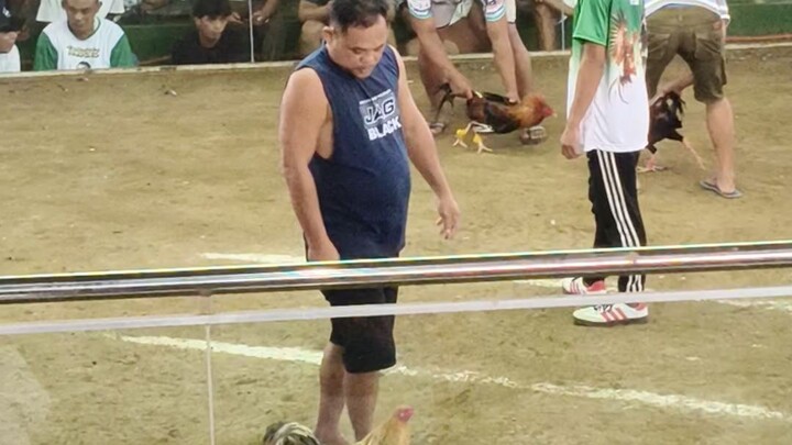 JR3 DOME 1X WINNER @ NORTHERN AMUSEMENT CENTER,3 cock derby